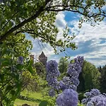 Hotel Burg 4*