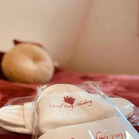 阿本贝格酒店 酒店 4*